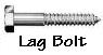 Photo of a lag bolt.